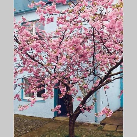 Albion Cottage Cockermouth Εξωτερικό φωτογραφία