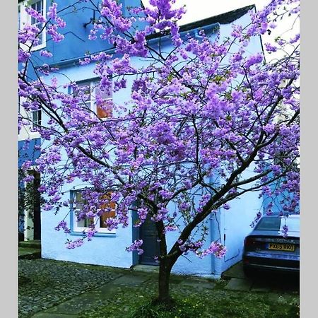 Albion Cottage Cockermouth Εξωτερικό φωτογραφία