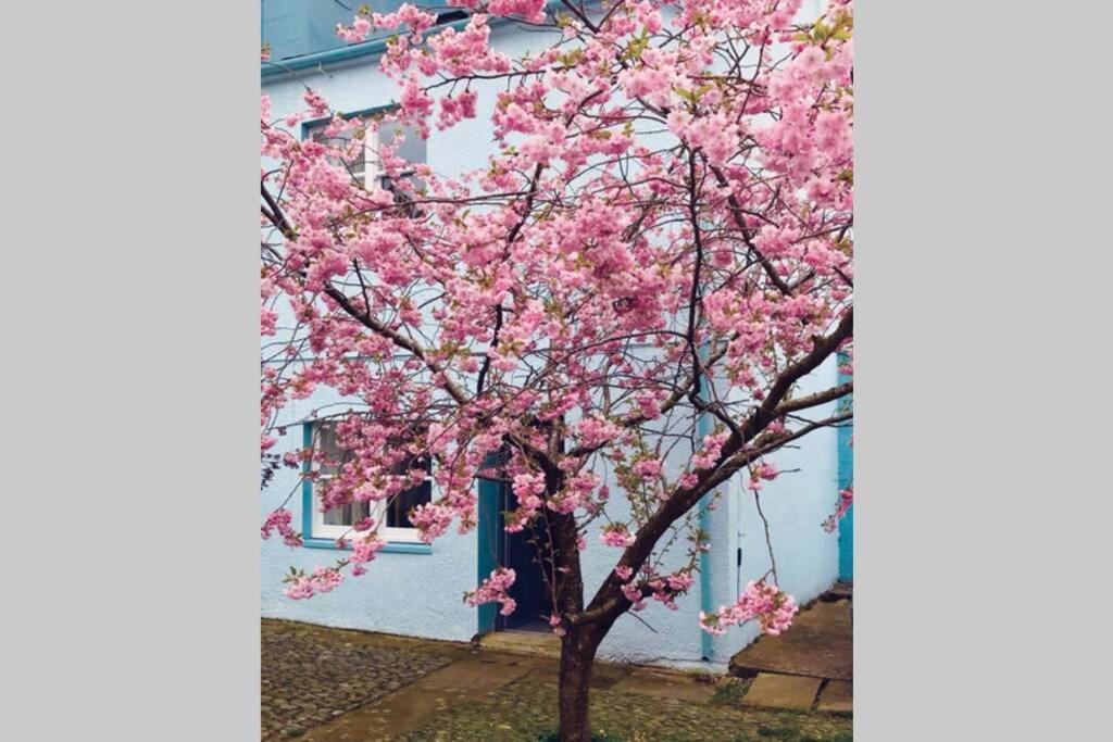 Albion Cottage Cockermouth Εξωτερικό φωτογραφία
