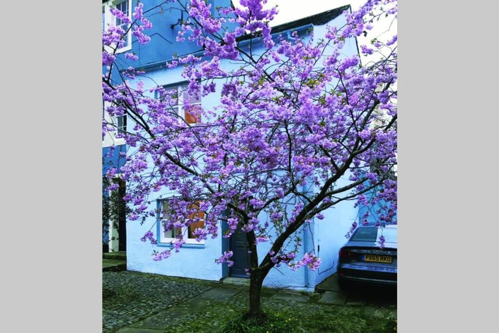 Albion Cottage Cockermouth Εξωτερικό φωτογραφία